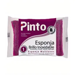 Pinto Esponja Brillo Inoxidable