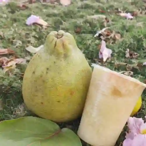 Jugo de Pomelo