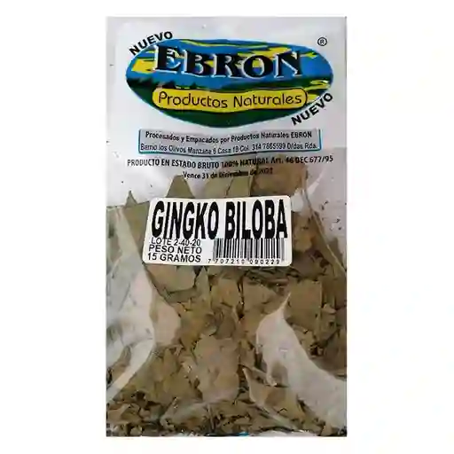 Ginkgo Biloba Ebron