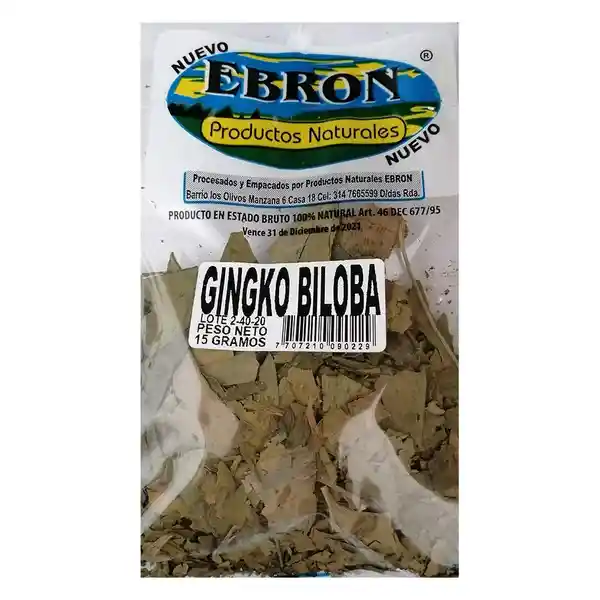 Ginkgo Biloba Ebron