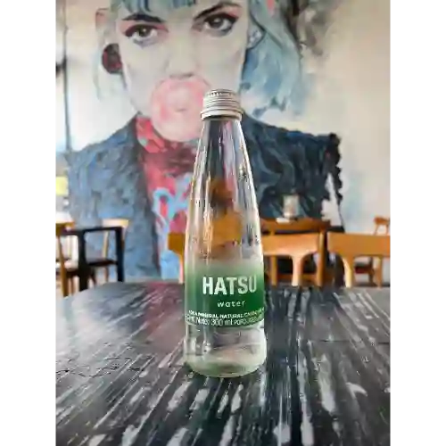 Agua con Gas 300 ml