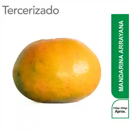 Mandarina Arrayana Turbo