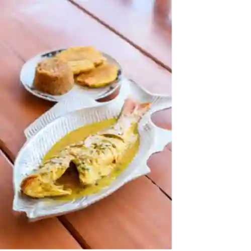 Pargo Guisado en Leche de Coco