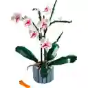 Set Construcción Orquídeas Lego