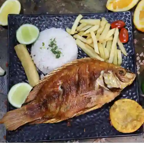 Mojarra Frita