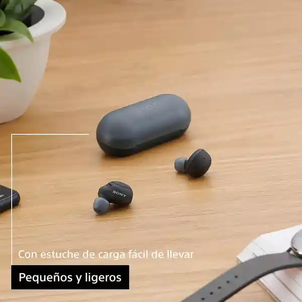 Sony Audífonos Tw Tipo Earbuds Negro