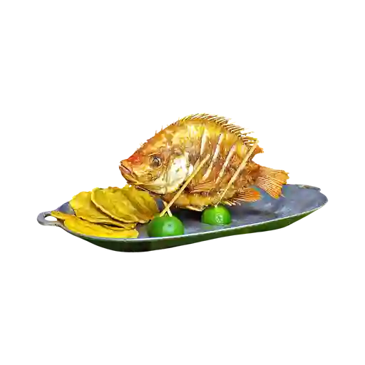 Mojarra Del Rio