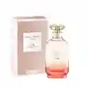 Coach Perfume Dreams Sunset