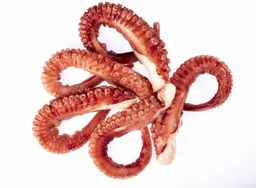 Tentaculo Madako 1 Kg