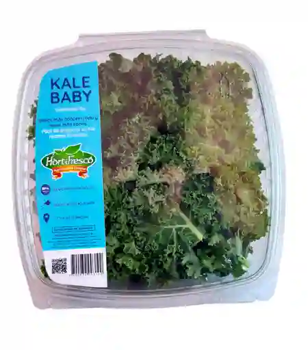 Kale Hojas Frescas