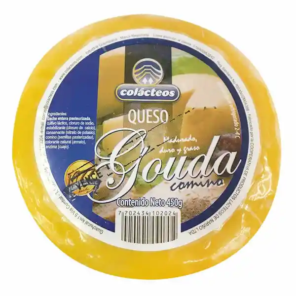 Queso Gouda Colácteos Comino