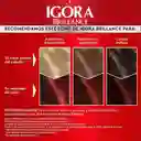 Igora Brillance 688 Rojo Rubi