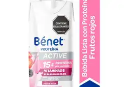 Benet Bebida Active Frutos Rojos