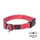 Collar Ajustable Mylu Rojo Talla L 5RX Totto