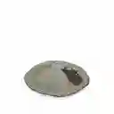 Set Plato Mediano Oclo 21 cm Ambiente Gourmet
