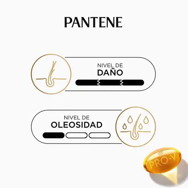 PANTENE Shampoo para cabello dañado Pantene Rizos Definidos con Pro-Vitaminas Aceite de Coco y Omega 9 400 ml