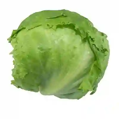 Lechuga Batavia a Granel