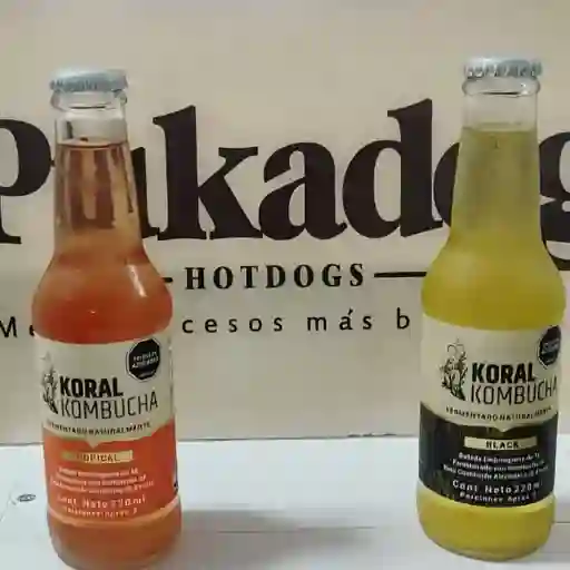 Kombucha koral 220ml