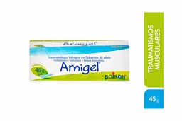 Arnigel Gel Tópico Antiinflamatorio