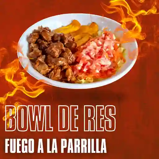 Bowl de res doble