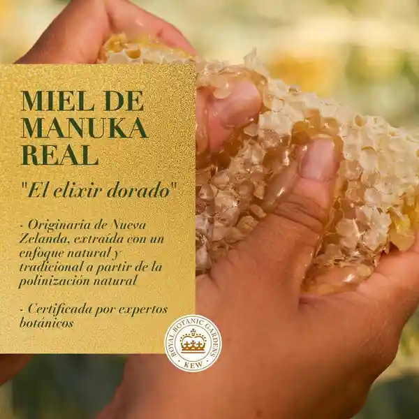 Acondicionador Herbal Essences Bio:Renew Bourbon Miel de Manuka Rinse 400 ml