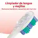 Cepillo de Dientes Medio Colgate 360° Luminous White x 5 Und