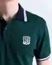 Polo Hombre Verde Talla XL 809G004_VER195406 Americanino