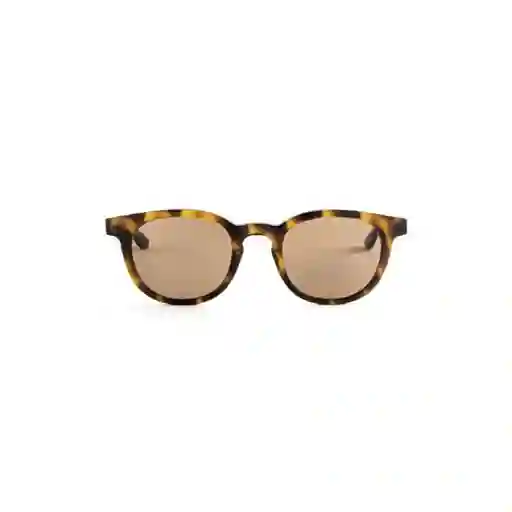 Invicta Gafas Eyewear I Habana Unisex 12821-pro-05