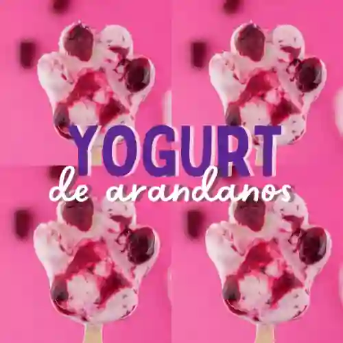 Paleta Yogurt de Arándano