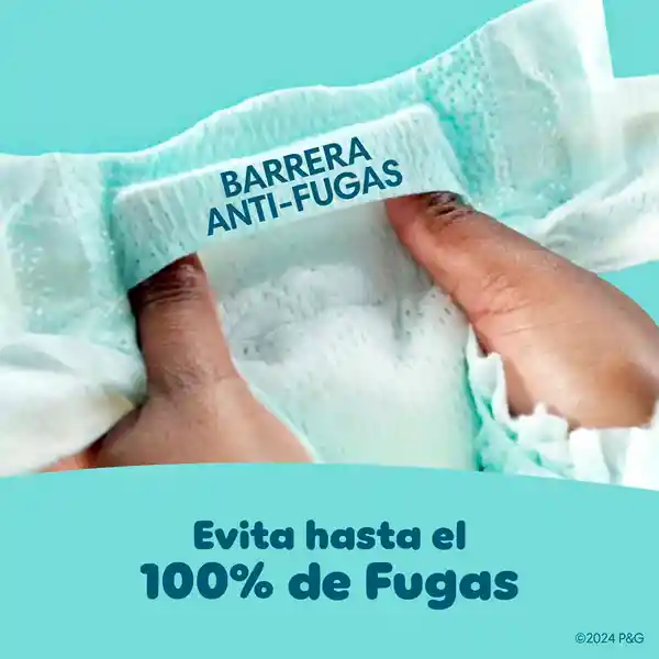 Pañal Desechables Pampers Swaddlers Etapa 4 22 Und​