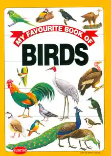 My favourite book of birds (Rústica)