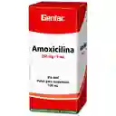Genfar Amoxicilina Polvo para Suspensión Oral (250 mg / 5mL)