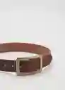 Cinturón Julieta Marron Talla S Mujer Mango