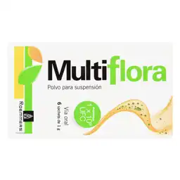 Multiflora Roemmers Polvo para Suspensión X 6 Sachets