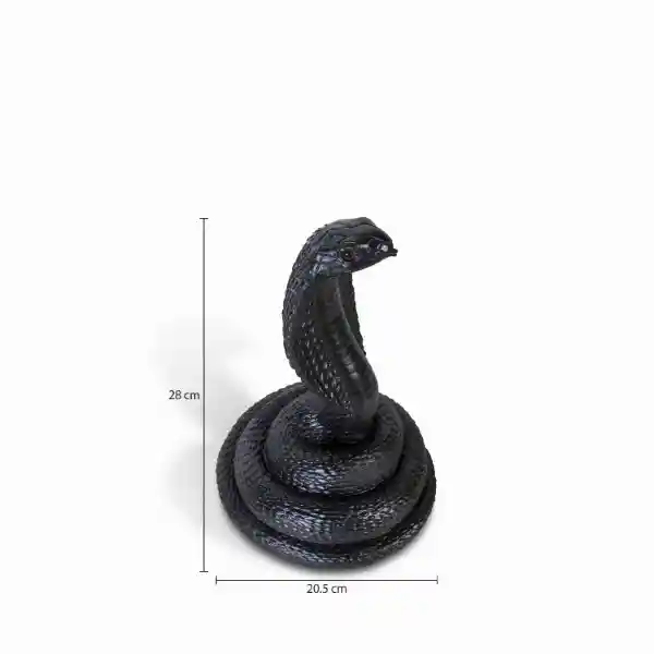 Serpiente Negra Ambiente Gourmet