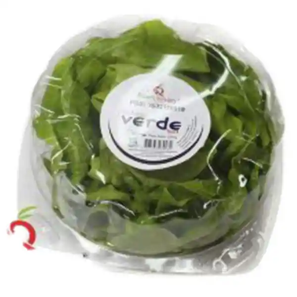 Huertos Del Campo Lechuga Verde Lisa