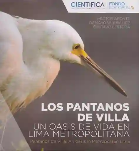 Vida Los Pantanos De Villa. Un Oasis De En Lima Metropolitana