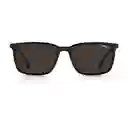 Carrera Gafas Negro Hombre Ca259s 0807 Black 55/18 145 70