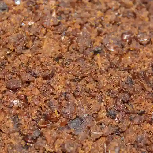 Proteína de Lentejas