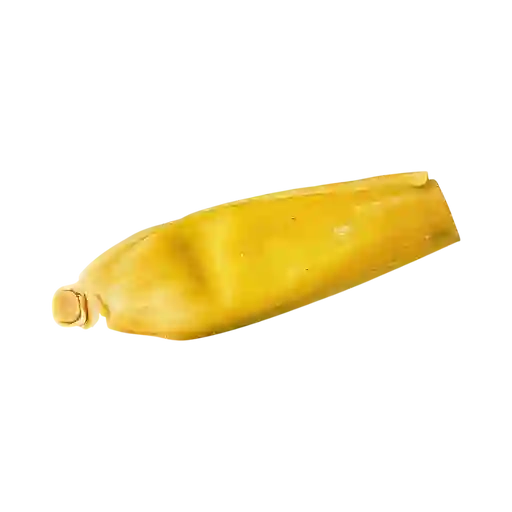 Ayaco de Carne