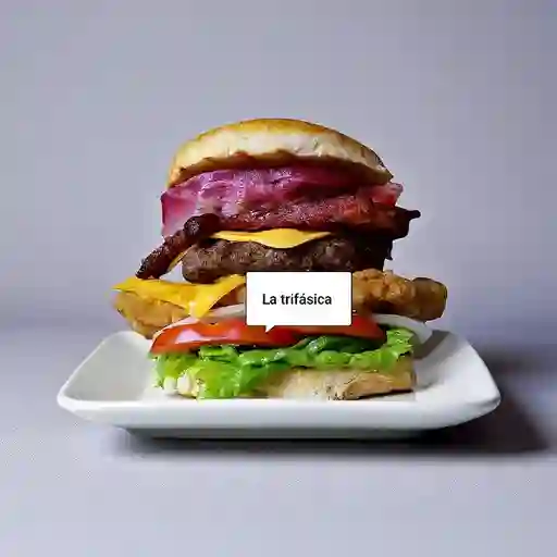 Hamburguesa Trifasica
