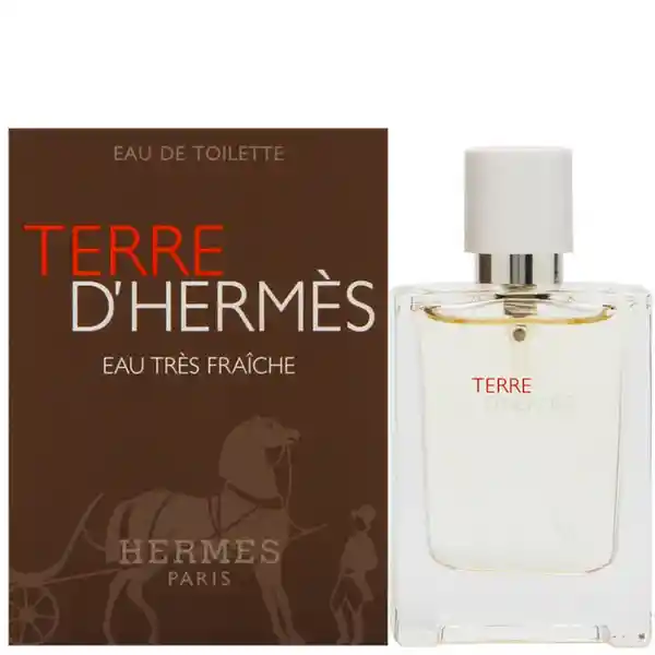 Hermes Perfume Terre Dhermes For Men 125 mL
