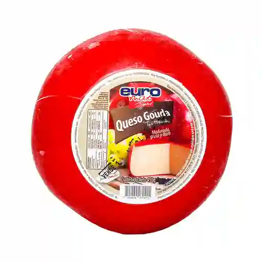 Euromax Queso Gouda Holandes