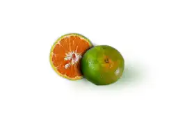 Mandarina Onecco E