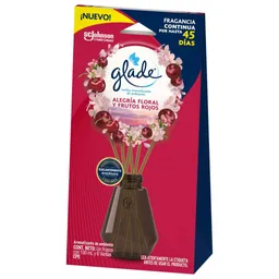 Glade® Varitas Ambientador Alegría Floral y Frutos Rojos Frasco con 100 ml y 6 Varitas