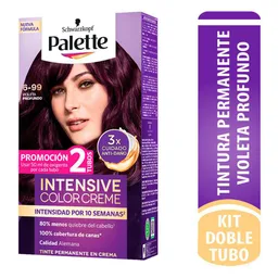 Palette Tinte Permanente Intensive Color Creme Tono 6-99 Violeta Profundo