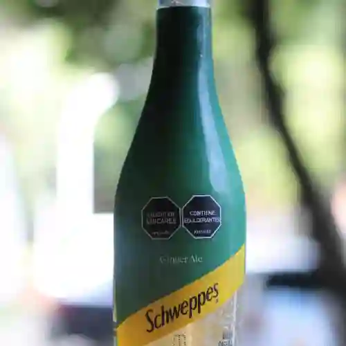 Ginger Ale 300 ml