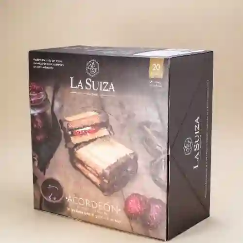 Caja Acordeón X 20
