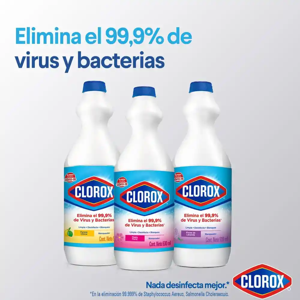 Blanqueador Clorox Original Botella 930 ml