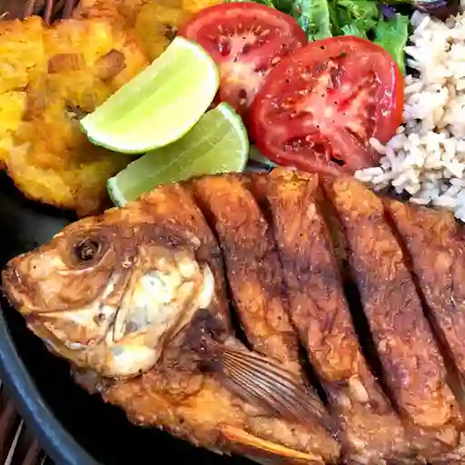 Cachama